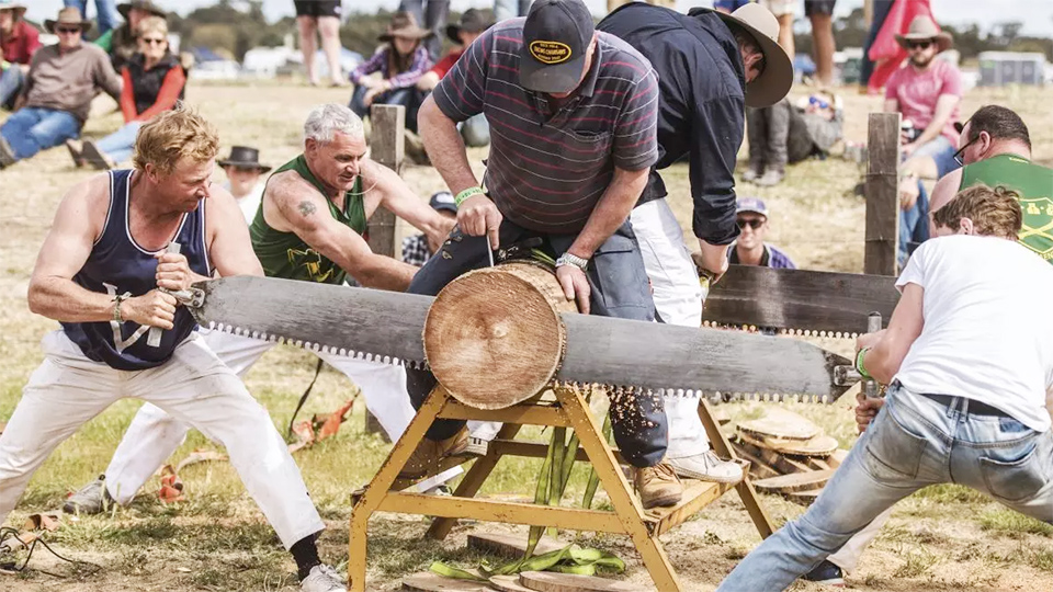 Deni Ute Muster